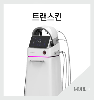 트랜스킨